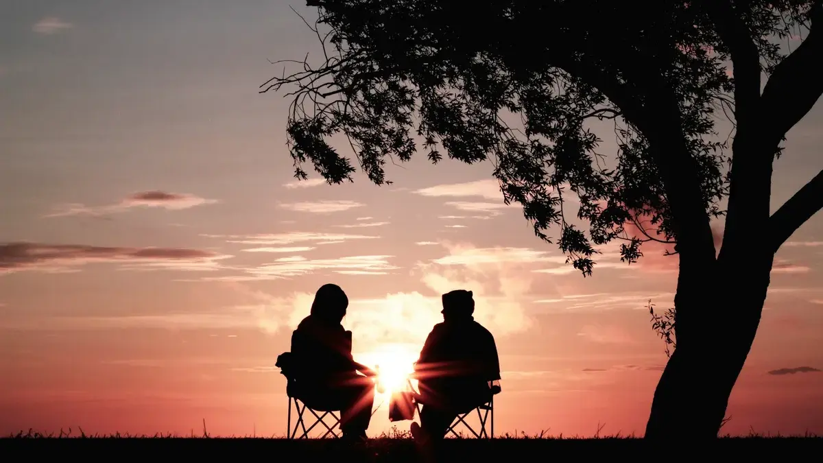 Two people sitting in chairs, silhouetted against a sunset sky, facing the horizon together beneath a tree.